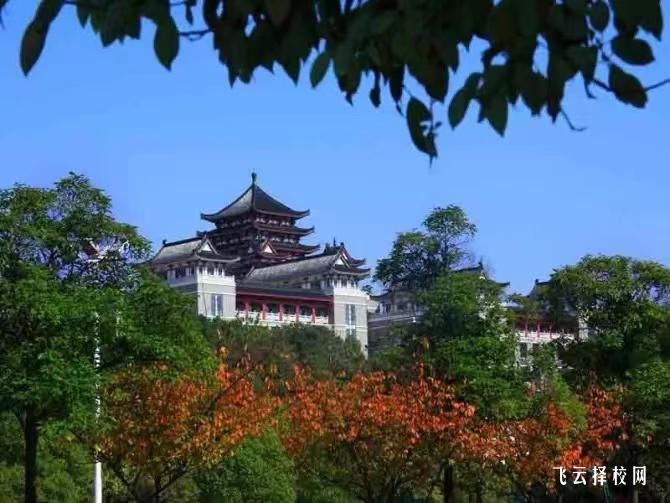 長沙民政職業技術學院2024單招專業有哪些