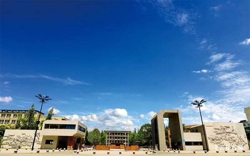 成都農業科技職業學院2024年單招考什么