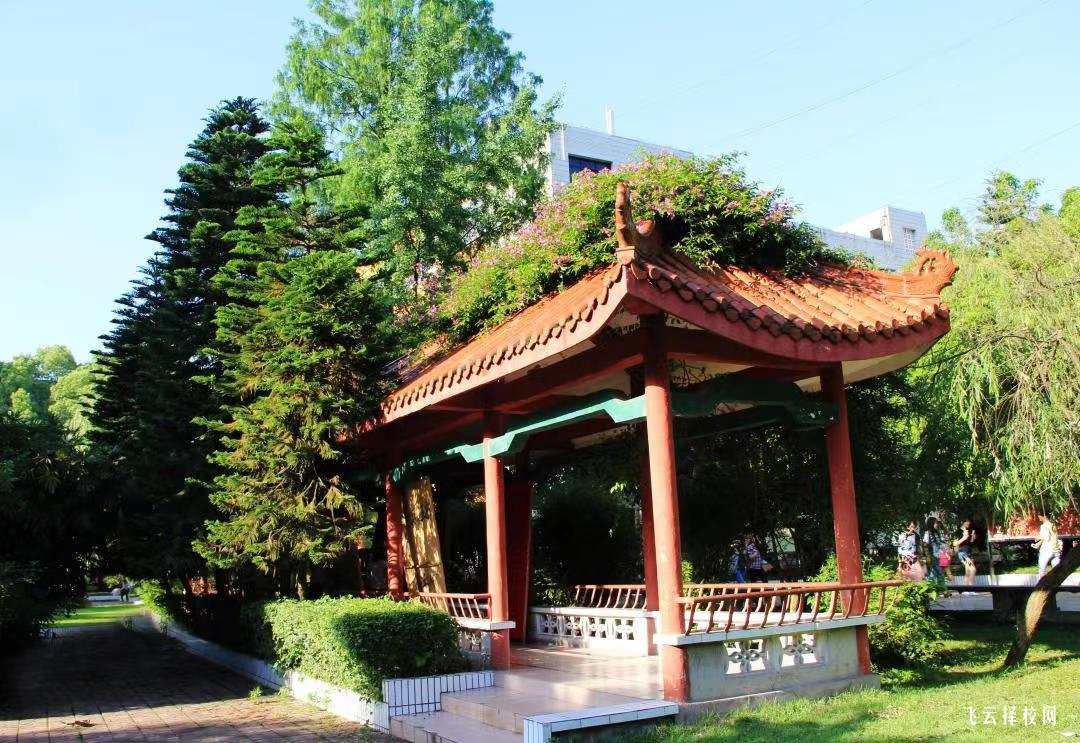 達(dá)州職業(yè)技術(shù)學(xué)院2024年單招考什么