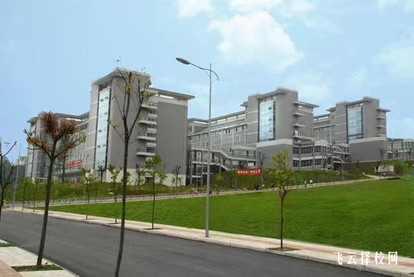 眉山職業技術學院2024年單招考什么