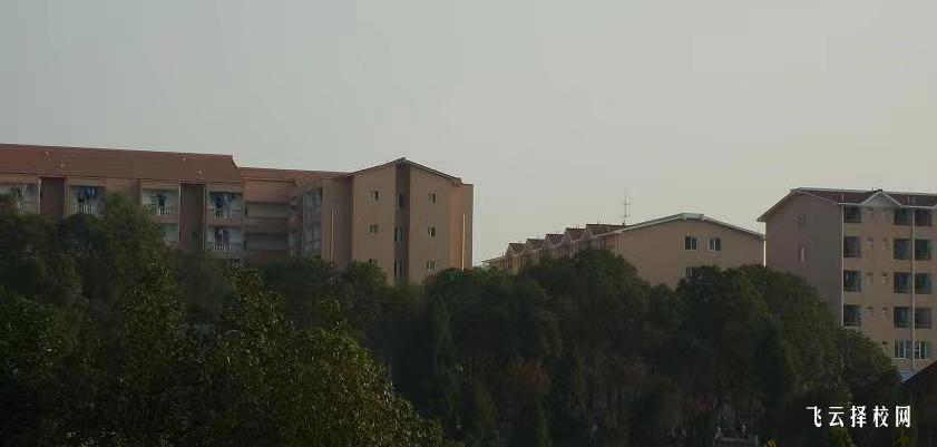 綿陽職業技術學院2024年單招考什么