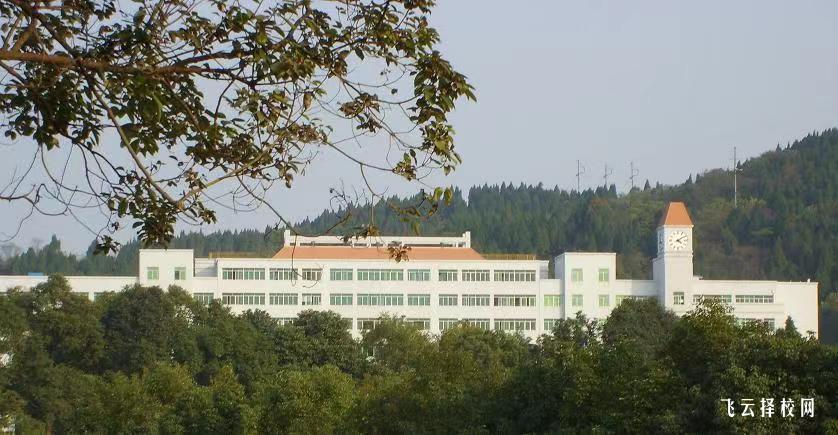 綿陽職業技術學院2024年單招考什么