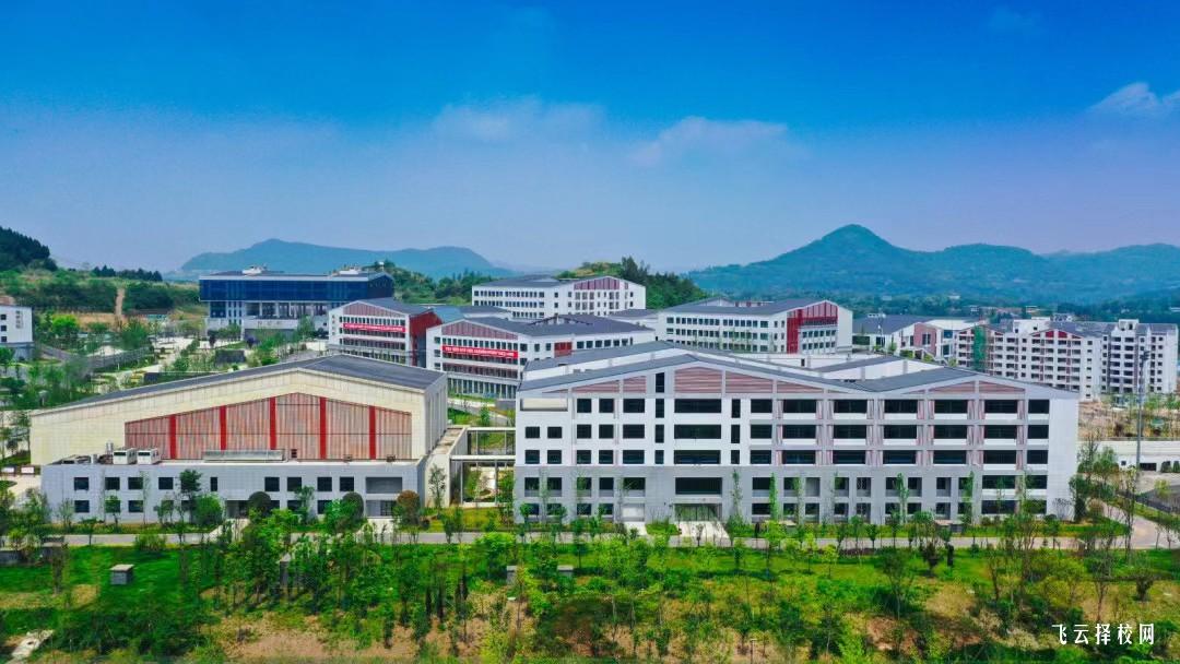 南充文化旅游職業學院2024年單招考什么