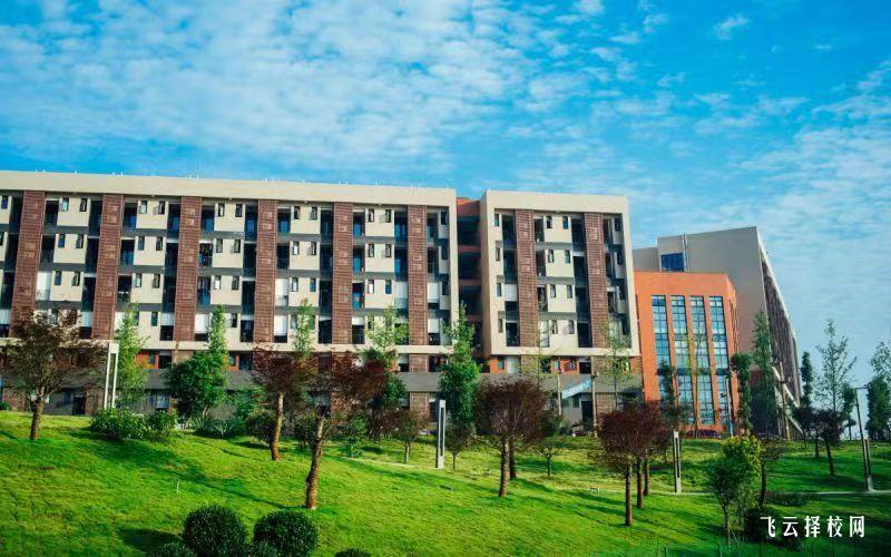 四川城市職業學院2024年單招考什么