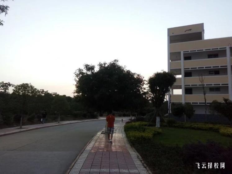 四川電子機(jī)械職業(yè)技術(shù)學(xué)院2024年單招考什么