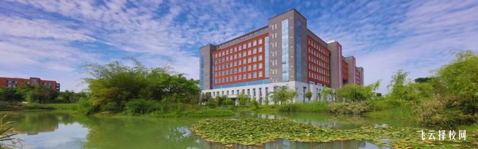 四川工程職業(yè)技術(shù)學(xué)院2024年單招考什么