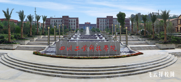 四川工業科技學院2024年單招考什么