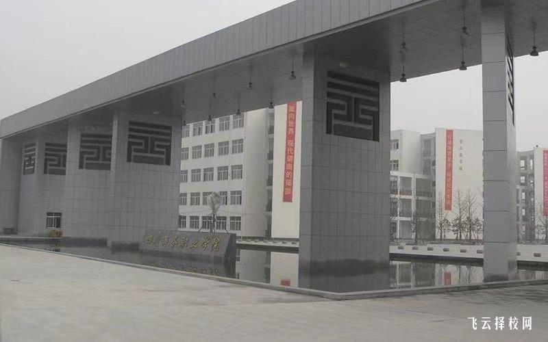 四川商務職業學院2024年單招考什么