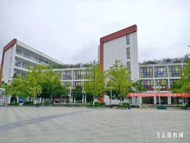 四川商務職業學院2024年單招考什么