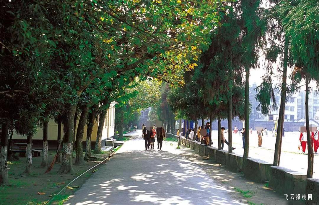 四川水利職業技術學院2024年單招考什么