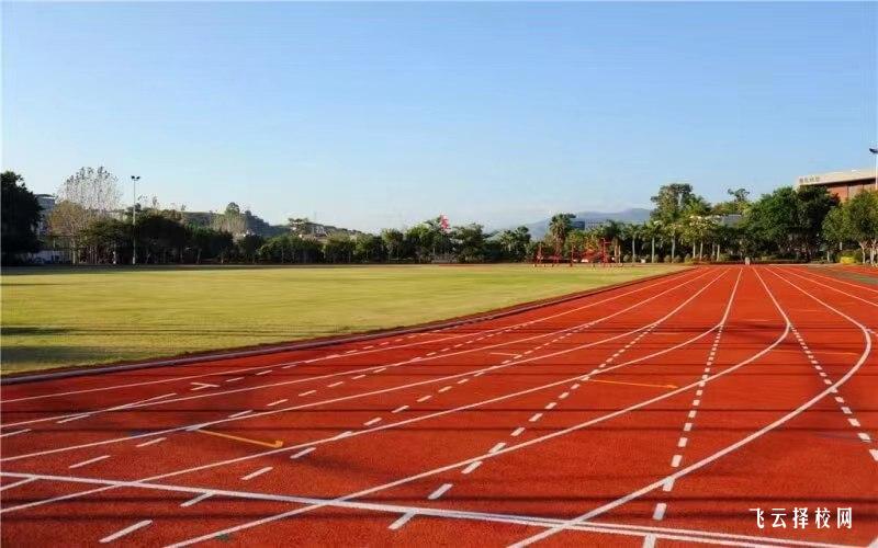 四川體育職業學院2024年單招考什么