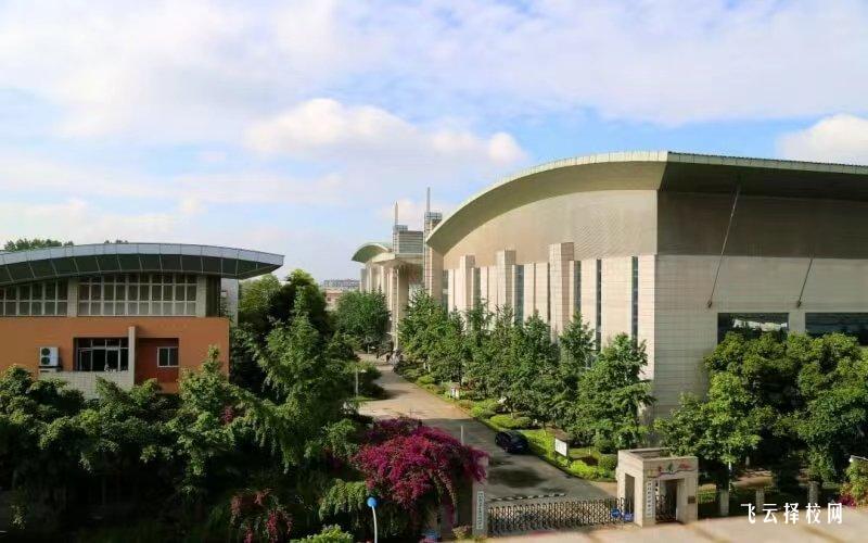 四川體育職業學院2024年單招考什么