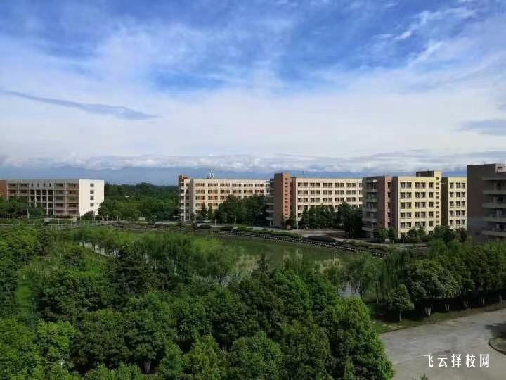 四川鐵道職業(yè)學(xué)院2024年單招考什么