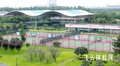 四川托普信息技術職業學院2024年單招考什么