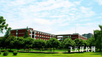 四川托普信息技術職業學院2024年單招考什么