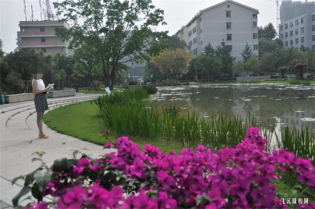 四川文化產業職業學院2024年單招考什么