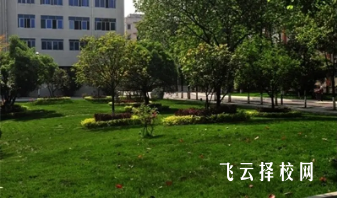 四川郵電職業技術學院2024年單招考什么