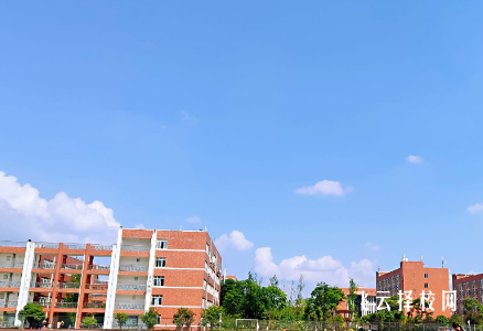 四川幼兒師范高等專科學校2024年單招考什么