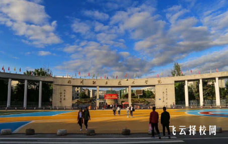 四川職業技術學院2024年單招考什么