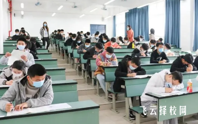 天府新區信息職業學院2024年單招考什么