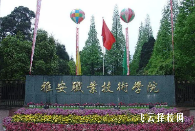 雅安職業技術學院2024年單招考什么