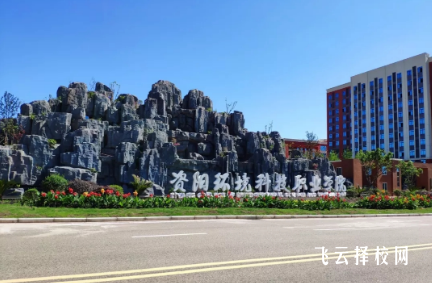 資陽環境科技職業學院2024年單招考什么