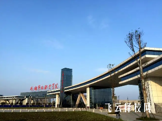 成都藝術職業大學2024單招招生計劃