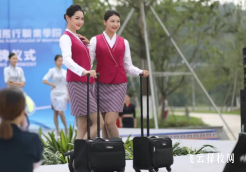 綿陽飛行職業學院2024單招招生計劃