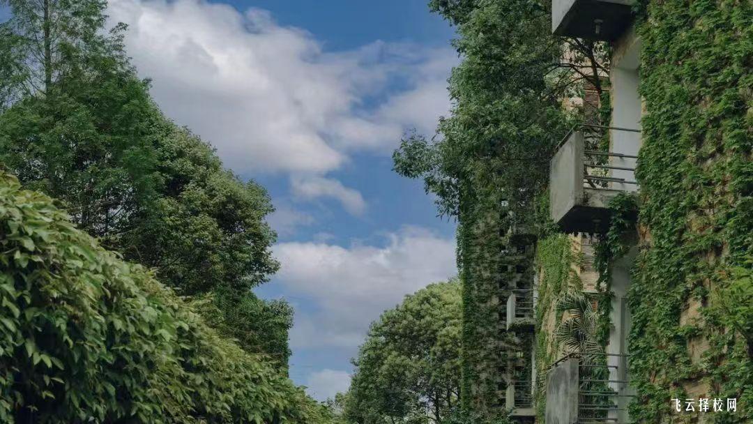 四川國際標榜職業學院2024單招招生計劃