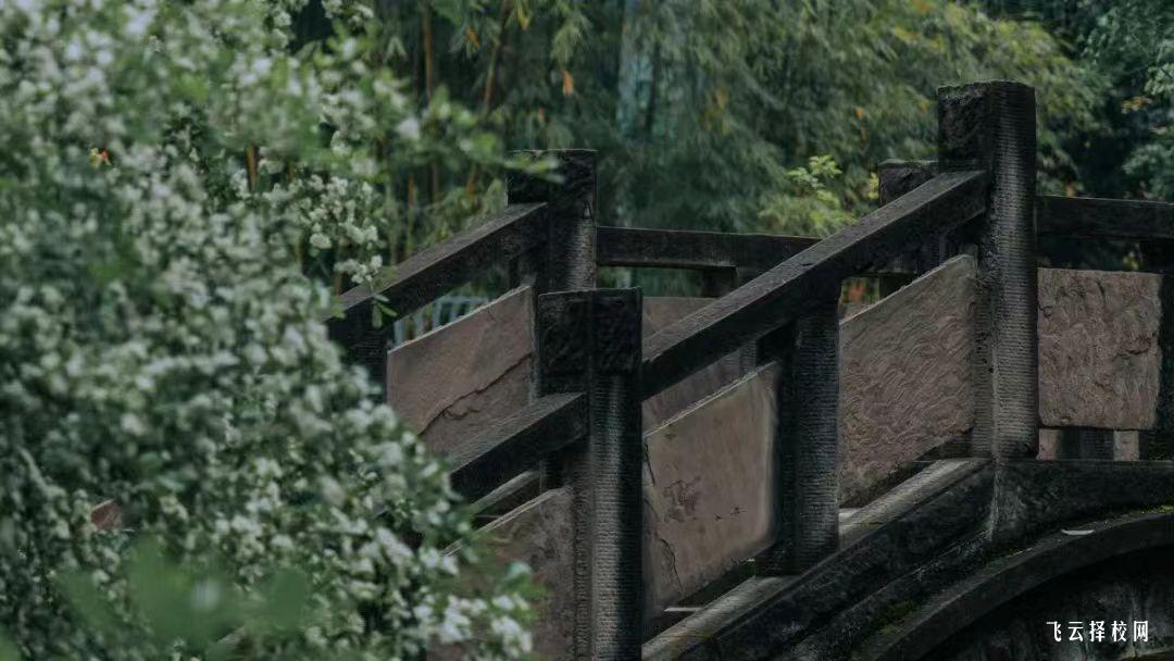 四川國際標榜職業學院2024單招招生計劃