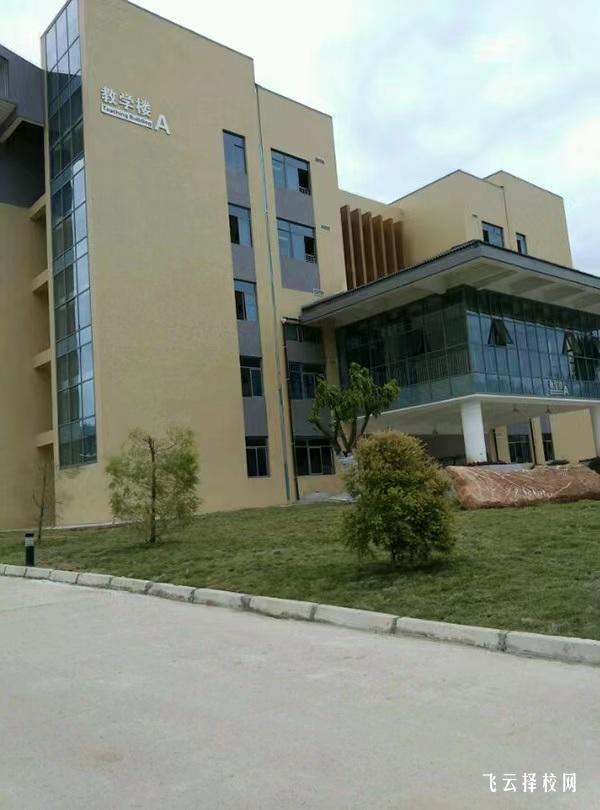 四川護理職業學院2024單招招生計劃