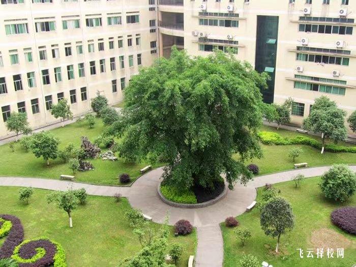 四川化工職業(yè)技術(shù)學院2024單招招生計劃