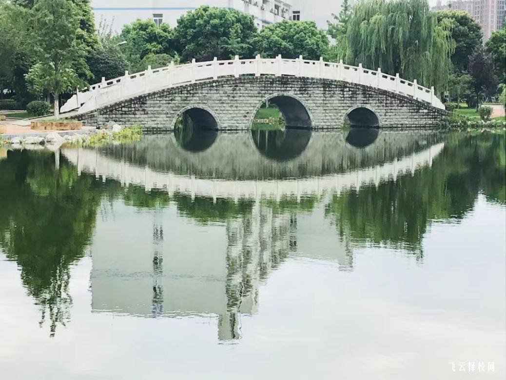 四川交通職業技術學院2024單招招生計劃