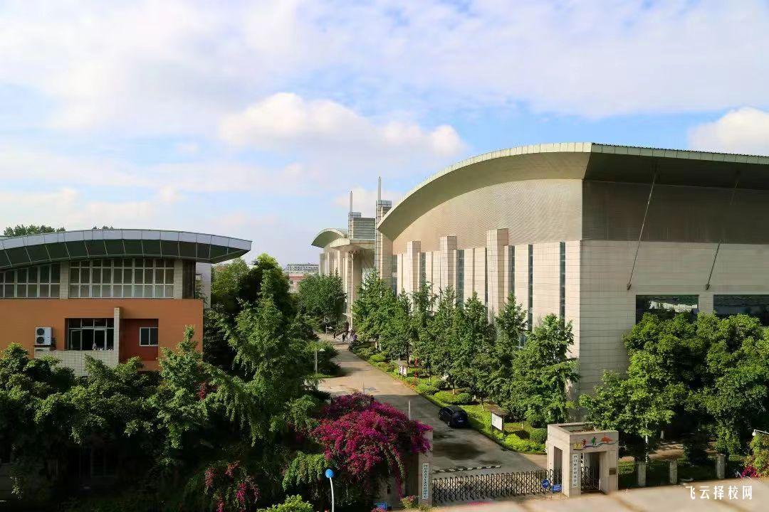 四川體育職業學院2024單招招生計劃