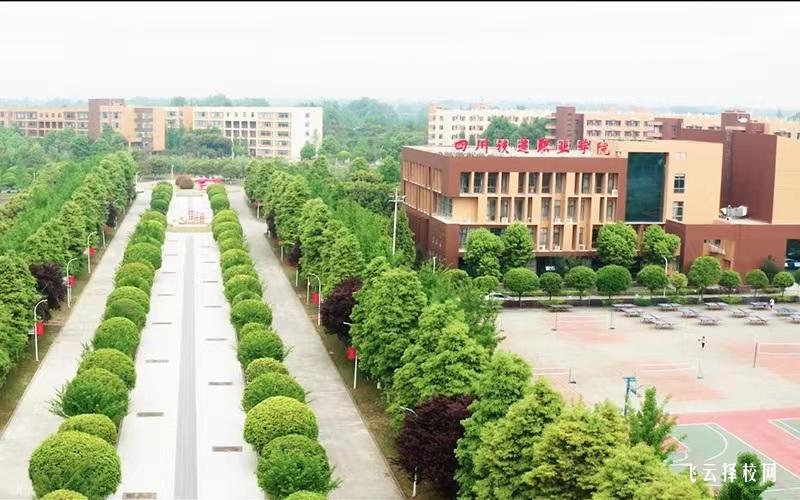 四川鐵道職業(yè)學(xué)院2024單招招生計(jì)劃