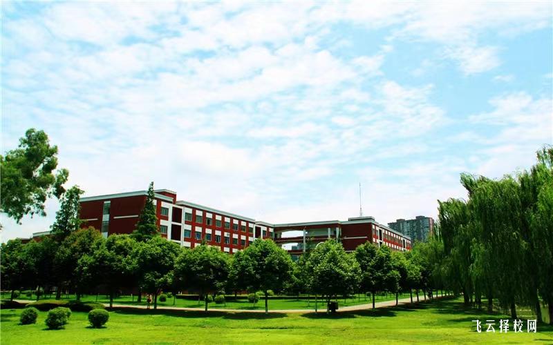 四川托普信息技術職業學院2024單招招生計劃