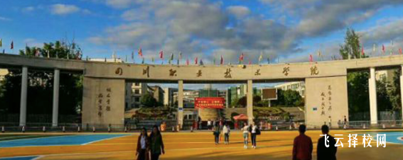 四川職業(yè)技術學院2024單招招生計劃