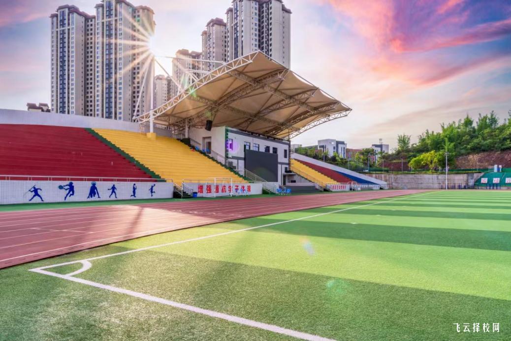 天府新區(qū)通用航空職業(yè)學(xué)院2024單招招生計(jì)劃