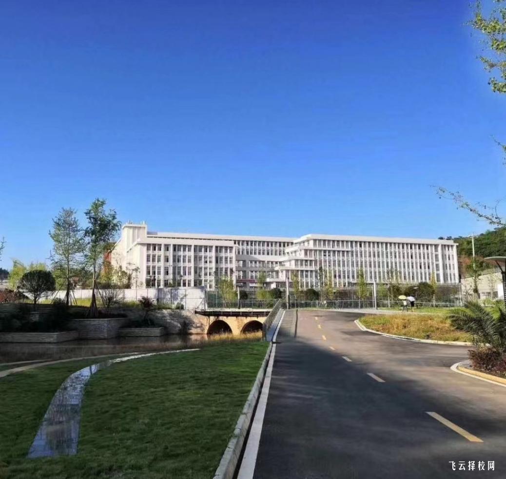 天府新區信息職業學院2024單招招生計劃