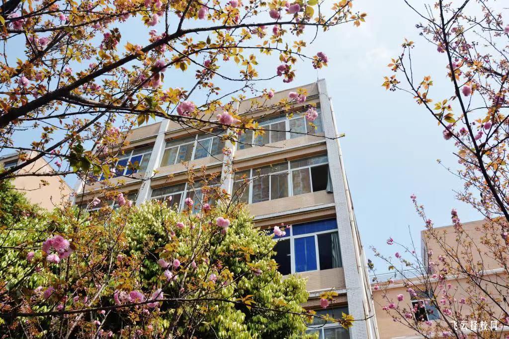 宜賓職業技術學院2024單招招生計劃