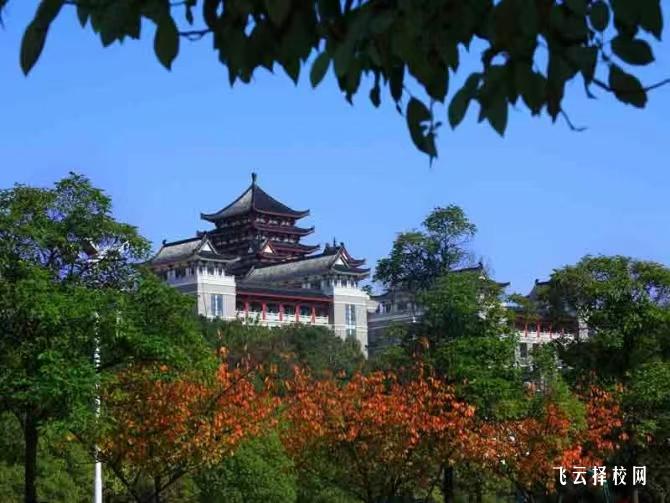 長沙民政職業技術學院2024單招招生計劃