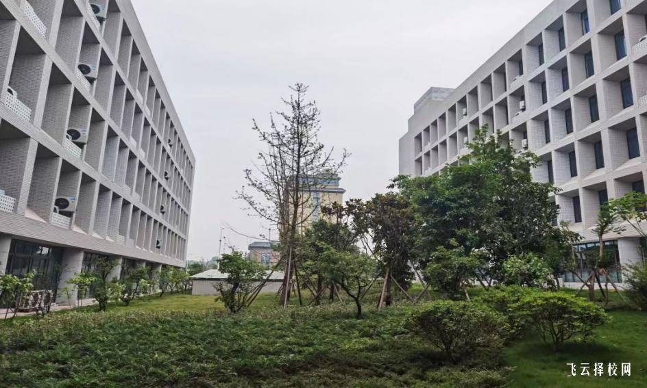 內江衛生與健康職業學院2023單招錄取分數