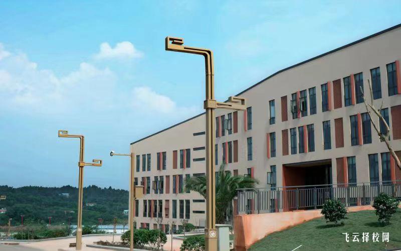 四川城市職業學院2023單招錄取分數