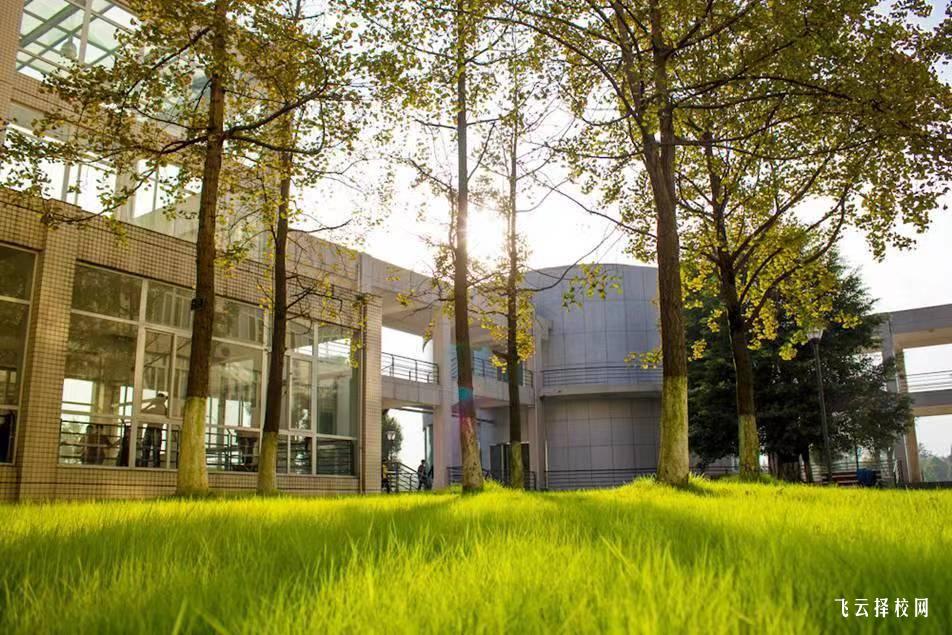 四川大學錦江學院2023單招錄取分數