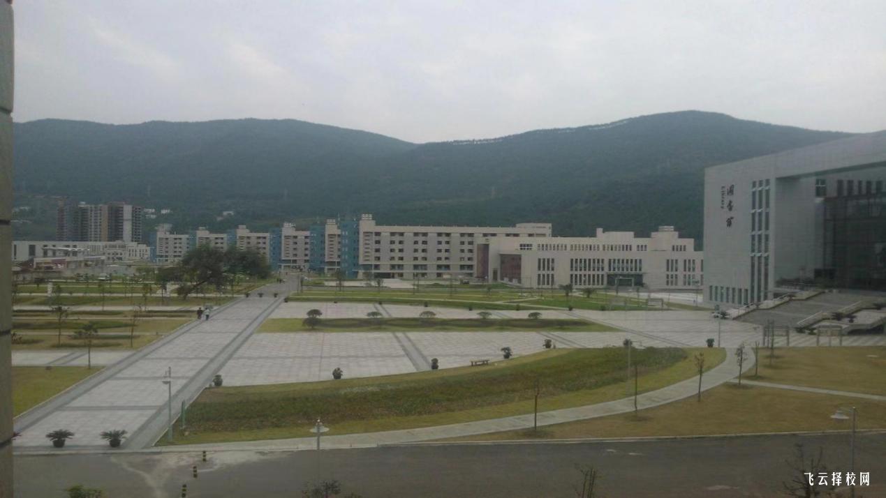 四川信息職業技術學院2023單招錄取分數