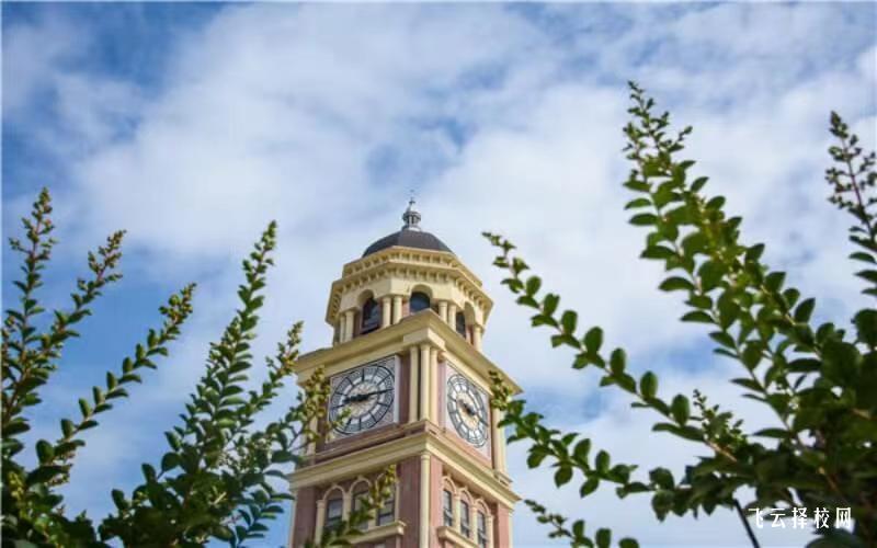 天府新區航空旅游職業學院2023單招錄取分數