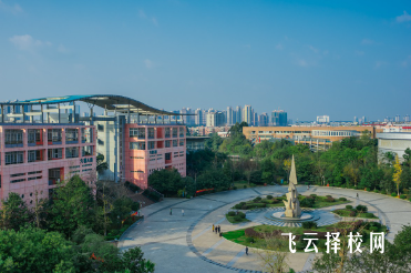 四川城市職業學院2024單招怎么報名