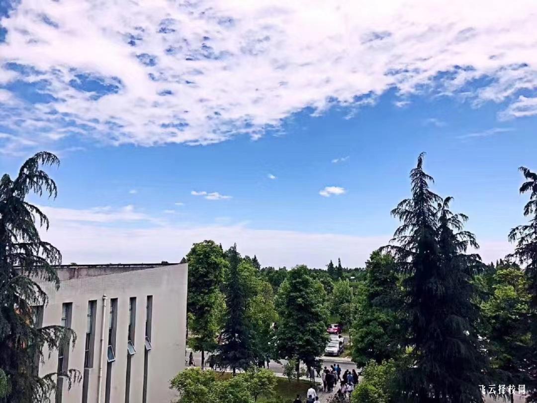 四川工商職業技術學院2024單招怎么報名