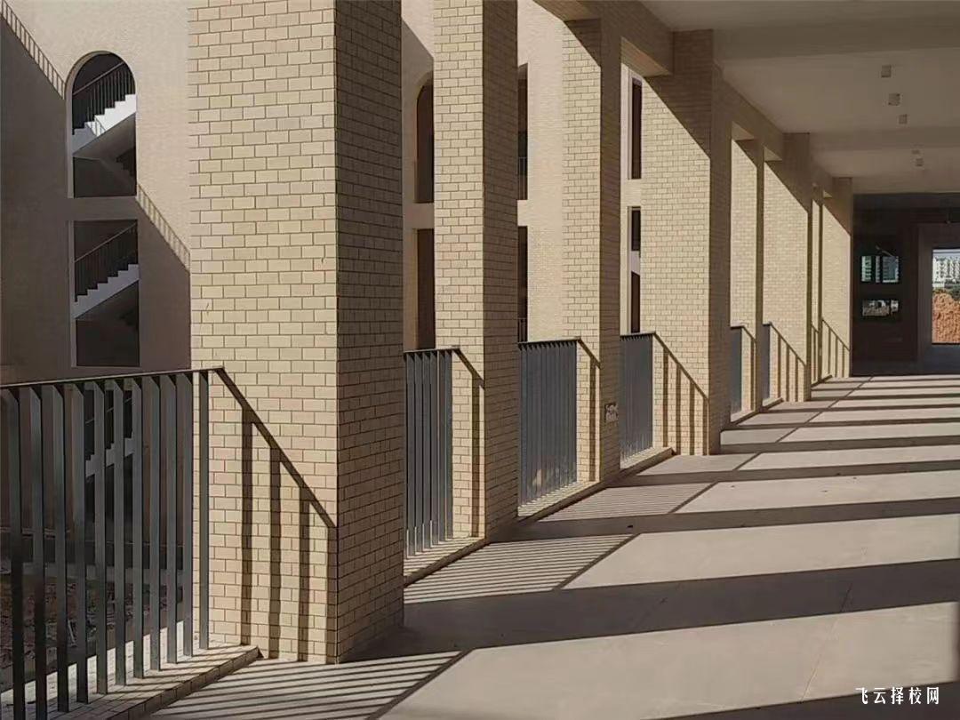 四川國際標榜職業學院2024單招怎么報名