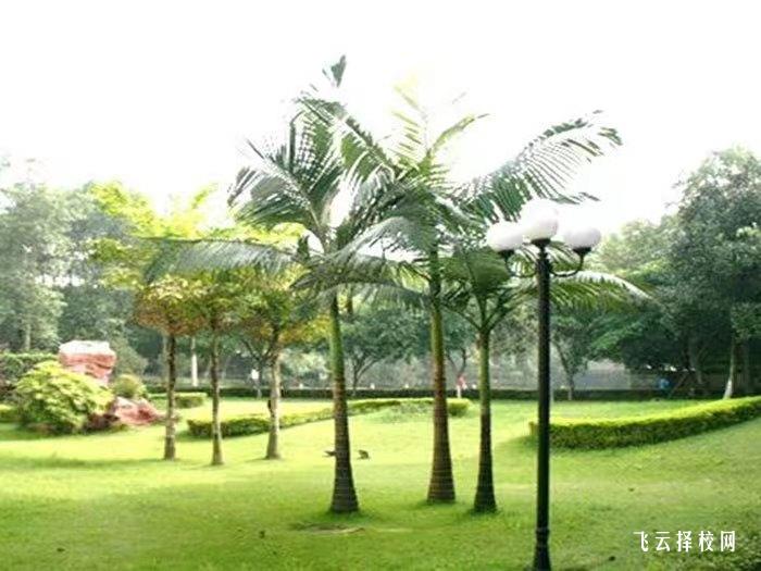 四川化工職業技術學院2024單招怎么報名